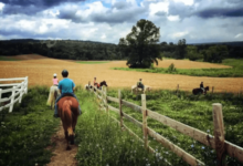 What are the guidelines for passing other riders on trails or in arenas?