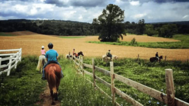What are the guidelines for passing other riders on trails or in arenas?