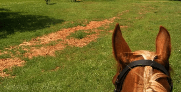 What are the guidelines for passing other riders on trails or in arenas?