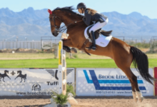 How can riders effectively manage their horse's energy throughout an eventing competition?