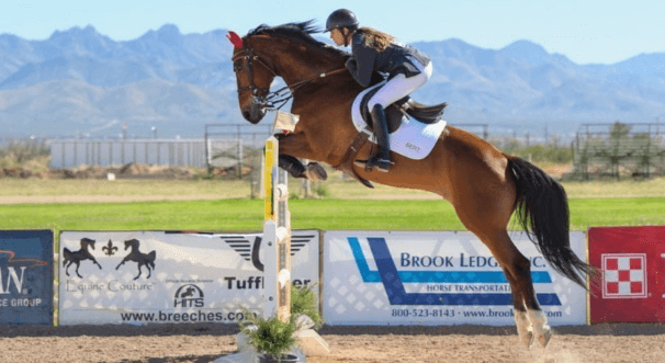 How can riders effectively manage their horse's energy throughout an eventing competition?