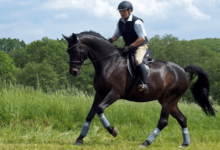 How can a beginner learn to maintain proper posture while riding?