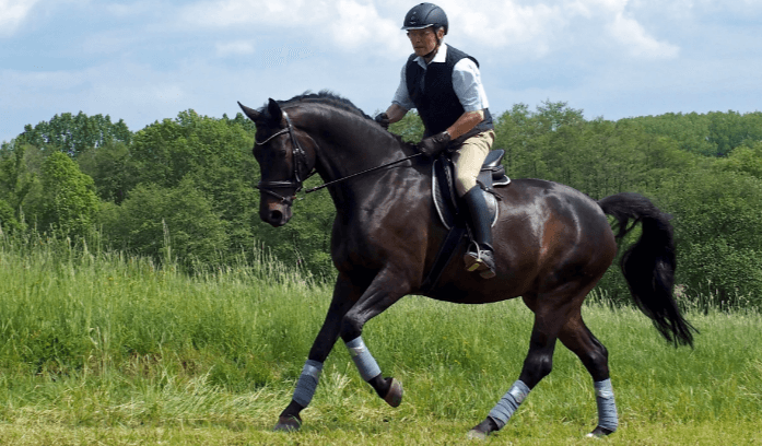 How can a beginner learn to maintain proper posture while riding?