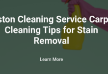 Boston Cleaning Service Carpet Cleaning Tips for Stain Removal