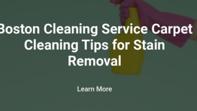 Boston Cleaning Service Carpet Cleaning Tips for Stain Removal