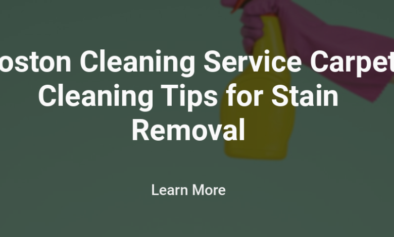 Boston Cleaning Service Carpet Cleaning Tips for Stain Removal