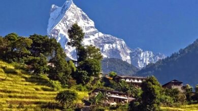 Mardi Himal Trek: A Photogenic Journey through the Himalayan Wonder