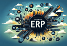 ERP System Integration