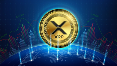 What Makes XRP Price So Unpredictable? Key Insights
