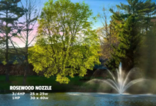 Fountain Pond Features That Add More Value to Large Outdoor Water Areas