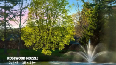 Fountain Pond Features That Add More Value to Large Outdoor Water Areas